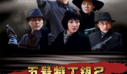 五号特工组电视剧,智勇双全，共赴国难