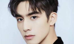 网红男明星,揭秘网红男明星的星光之路